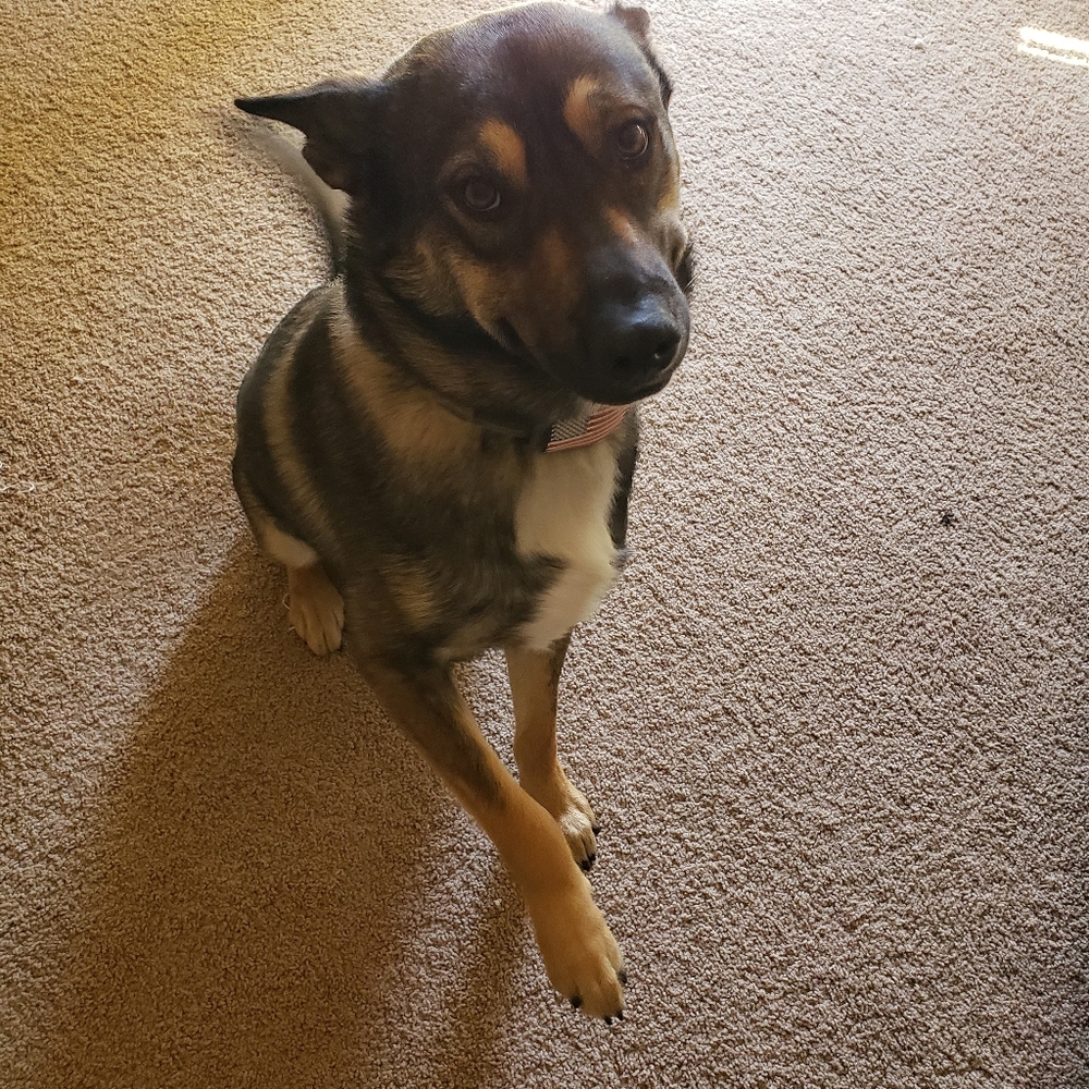 Meet your Posher, Jess